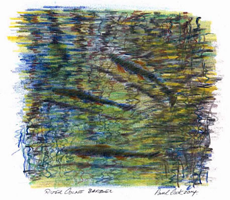 Barbel swimming in river Colne